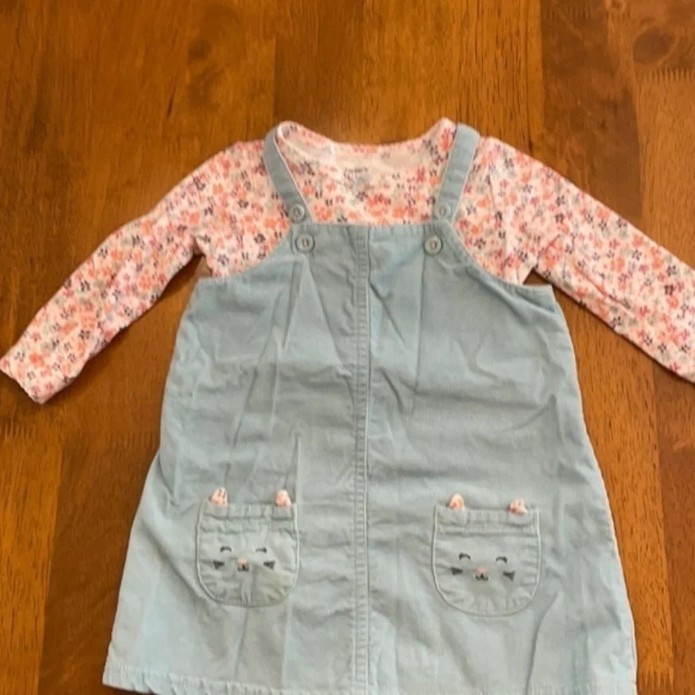 Carter’s Light blue and flower jumper outfit 009